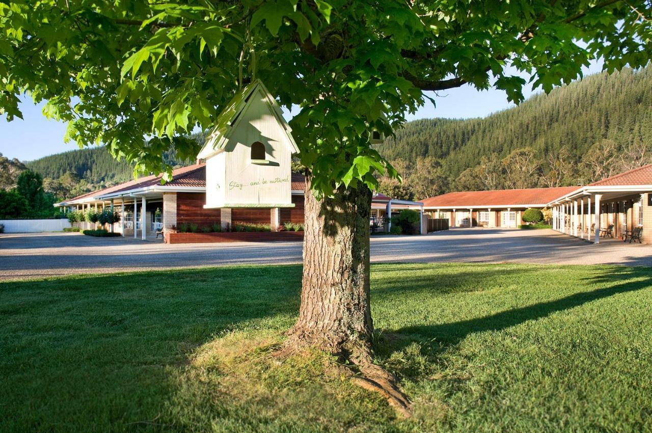 Ovens Valley Motor Inn 브라이트 외부 사진