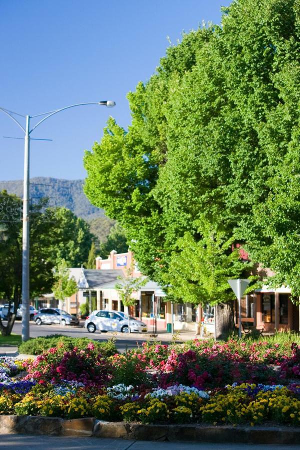 Ovens Valley Motor Inn 브라이트 외부 사진